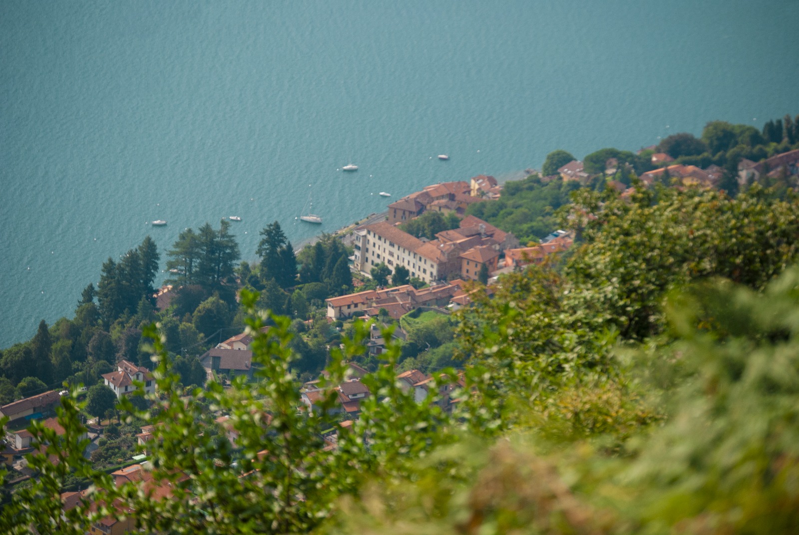 Verbania
